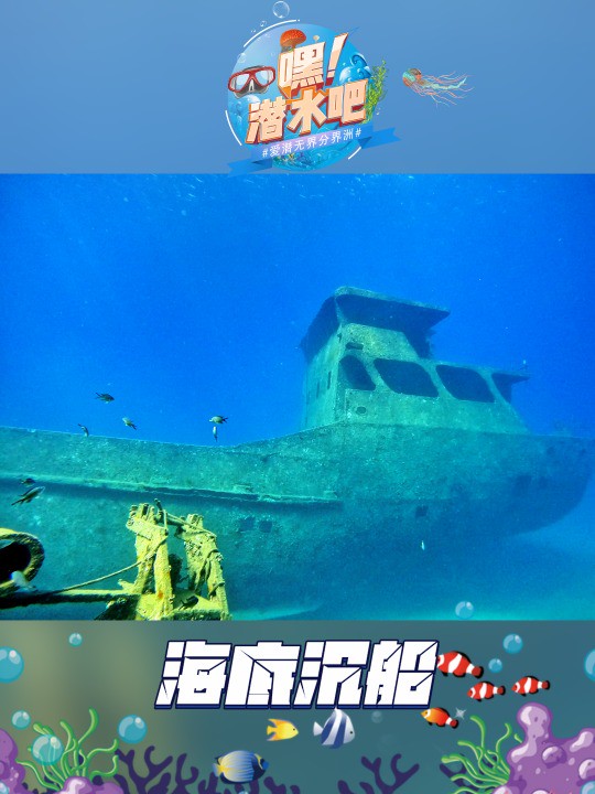 ✨潜水季开启啦! 𐟌Š今天潜入蔚蓝大海, ⛴探索神秘的海底沉船. 𐟔奿륖Š上潜伴一起, 𐟏畅潜蔚蓝,拥抱海洋! #嘿潜水吧 #分界洲岛