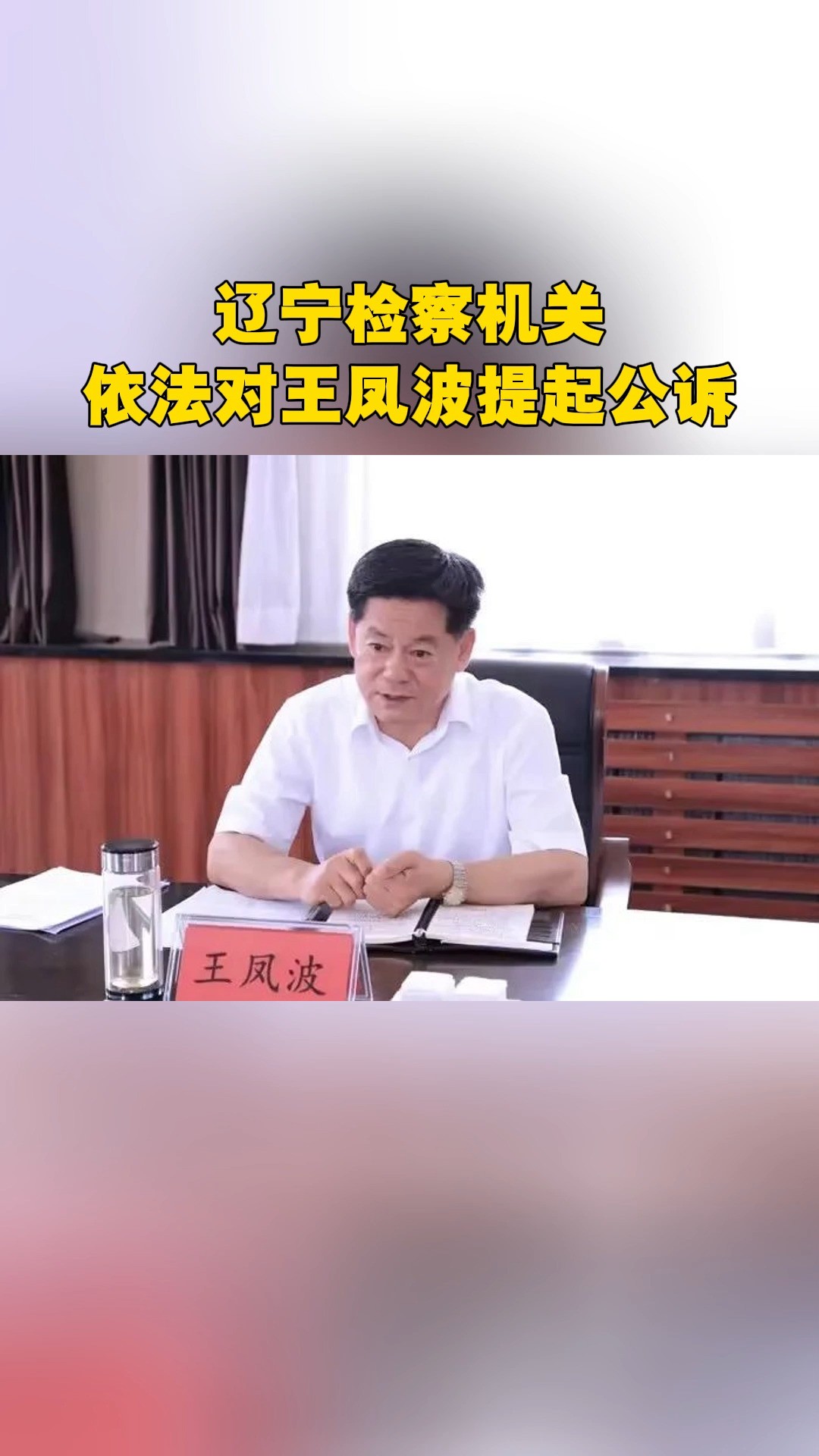 辽宁检察机关依法对王凤波提起公诉