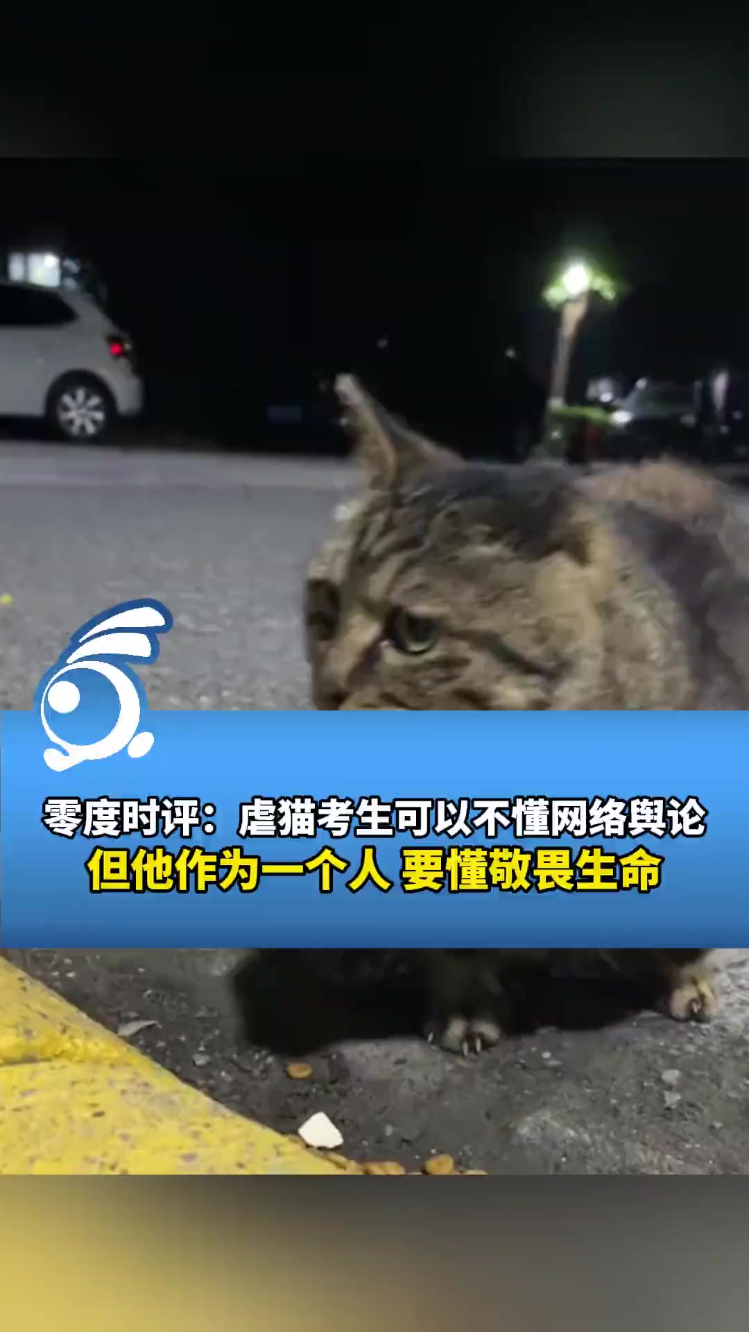 虐猫考生称“不是很懂网络舆论”,零度时评:可以不懂网络舆论,但作为一个人要懂敬畏生命