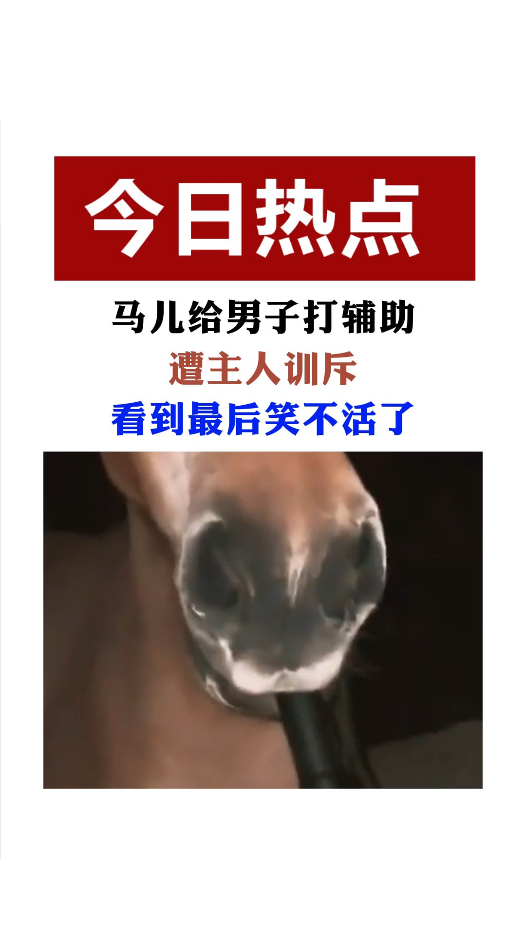 马:你说的是人话吗?