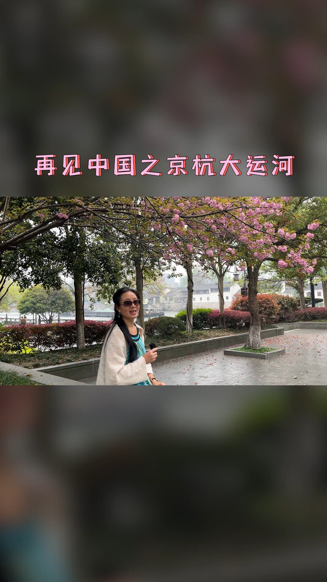 再见中国之京杭大运河#杭州 #旅游 #旅行 @经纪人小微