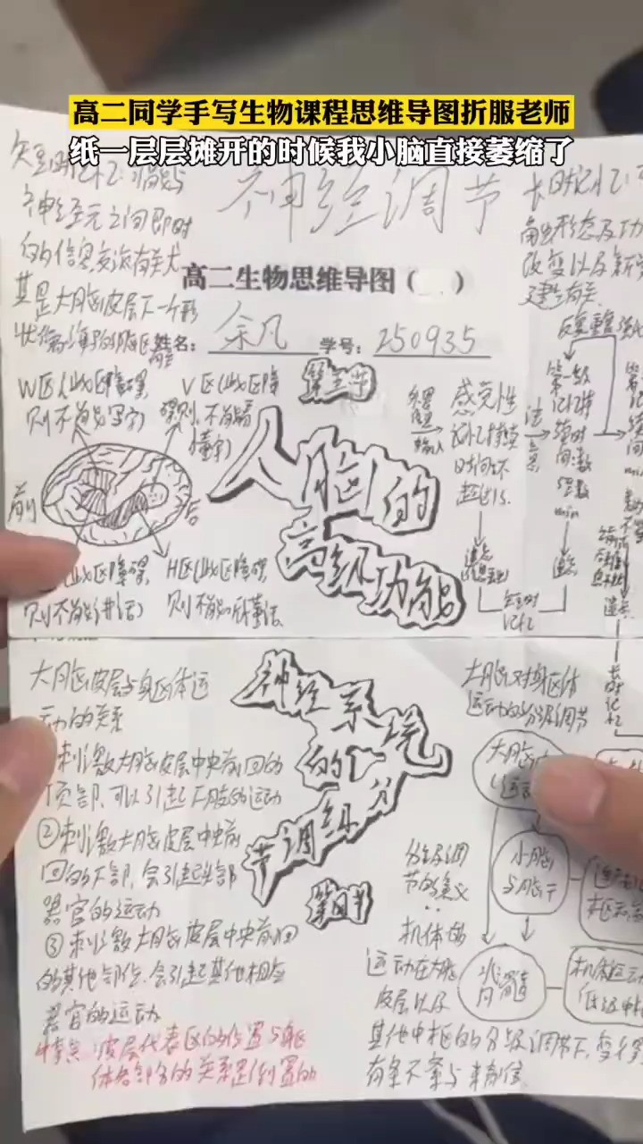 高二同学手写生物课程思维导图折服老师.纸一层层摊开的时候我小