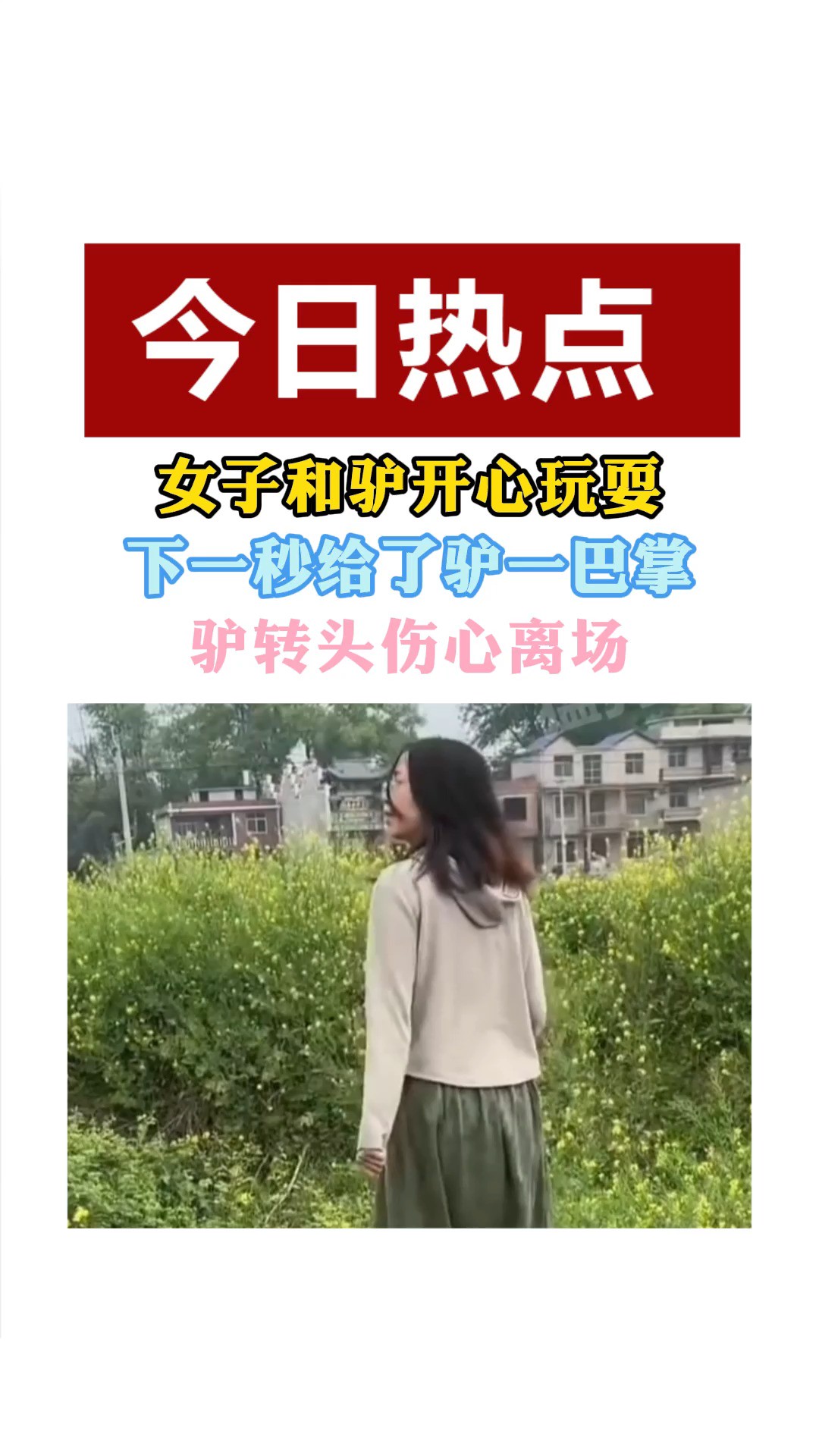 女子和驴开心玩耍