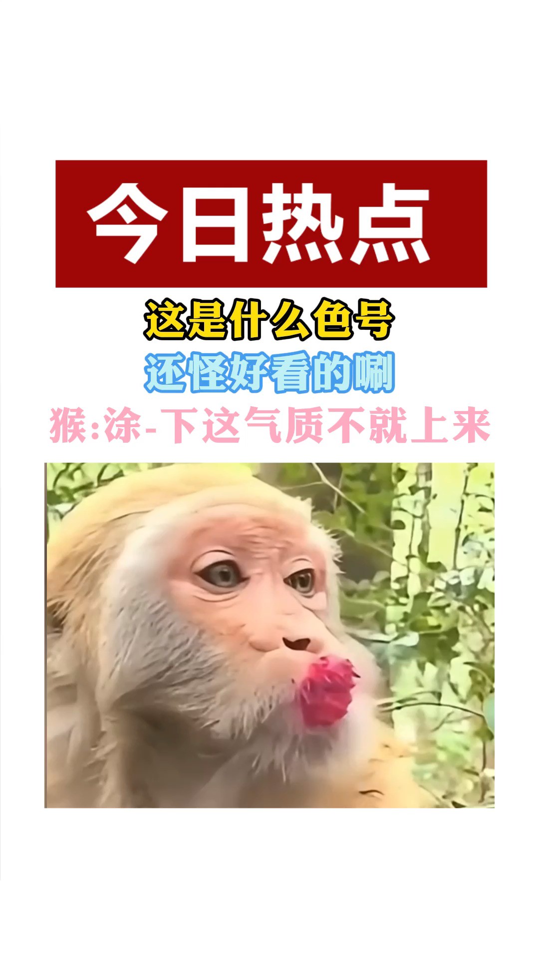 这是什么色号