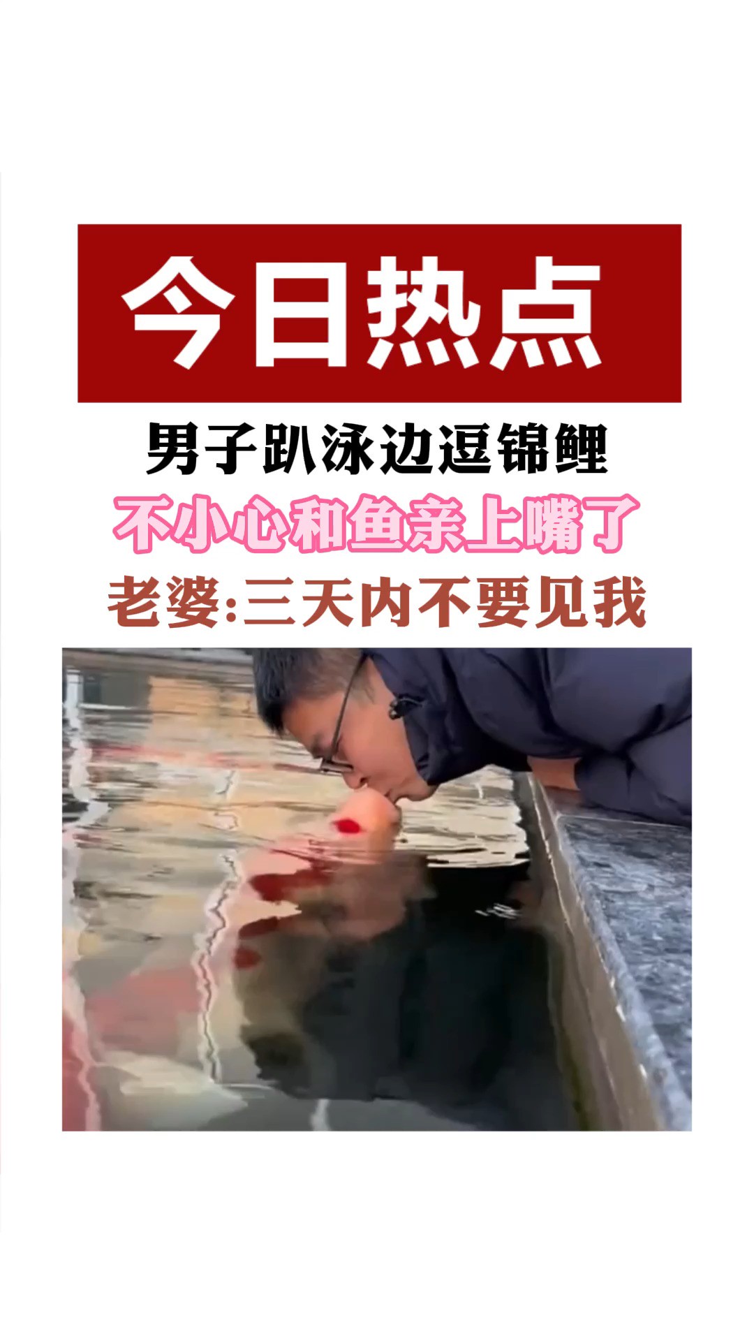 男子趴泳边逗镚鲤 不小心和鱼亲上嘴了