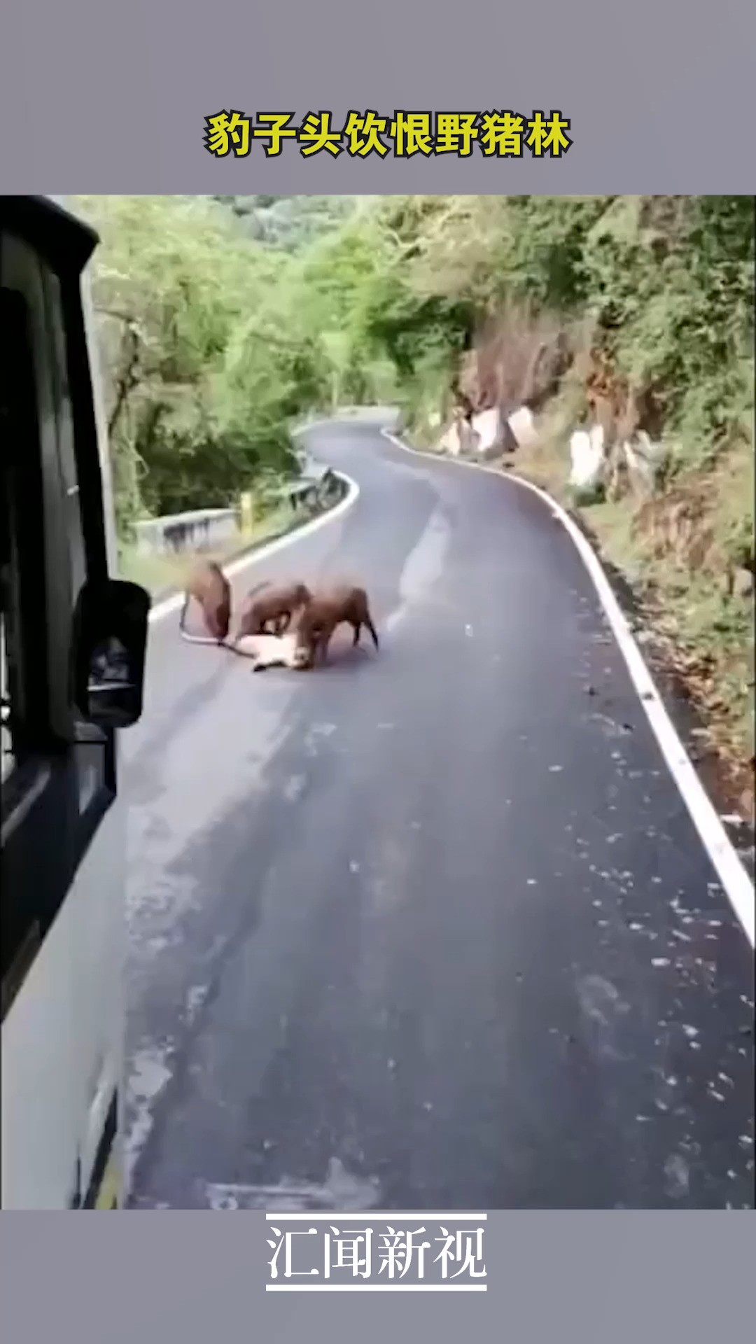 豹子头饮恨野猪林