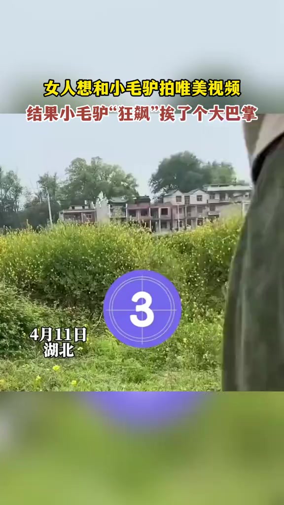 女人想和小毛驴拍唯美视频,结果小毛驴“狂飙”挨了个大“逼兜”.