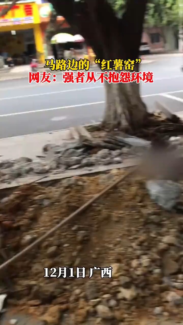 就地取材,马路边的“红薯窑”网友强者从不抱怨环境