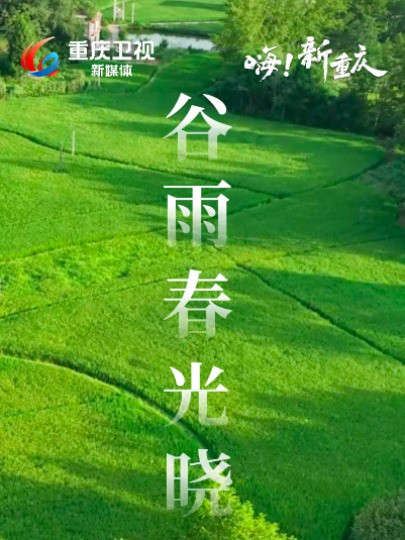 嗨!新重庆|谷雨已至,且惜春光,且种希望.一“谷”作气,静待万物繁盛.(来源:@美好铜梁 @恺之峰旅游区 綦江区融媒体中心 @开州融媒体)