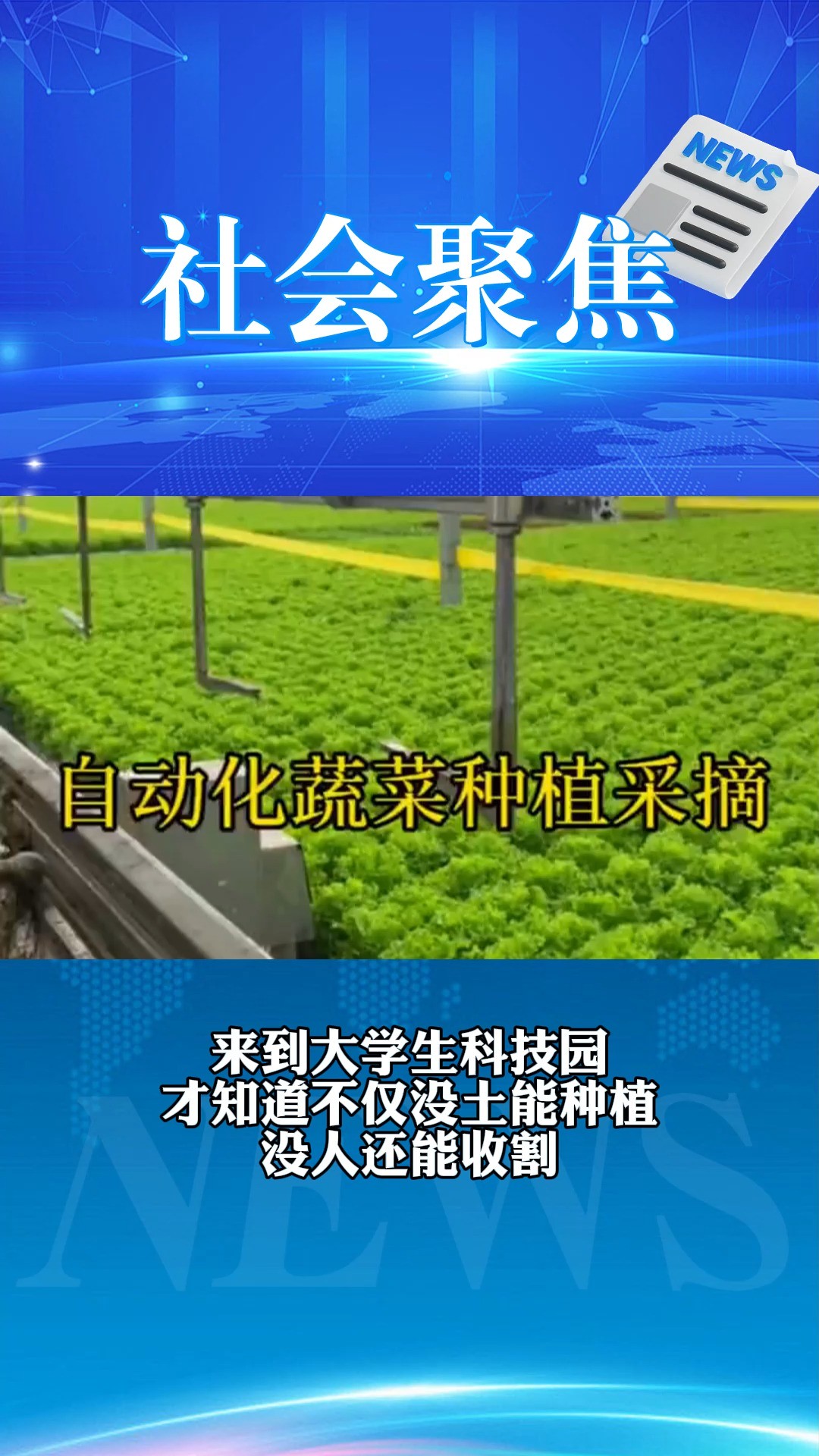 来到大学生科技园,才知道不仅没土能种植,没人还能收割