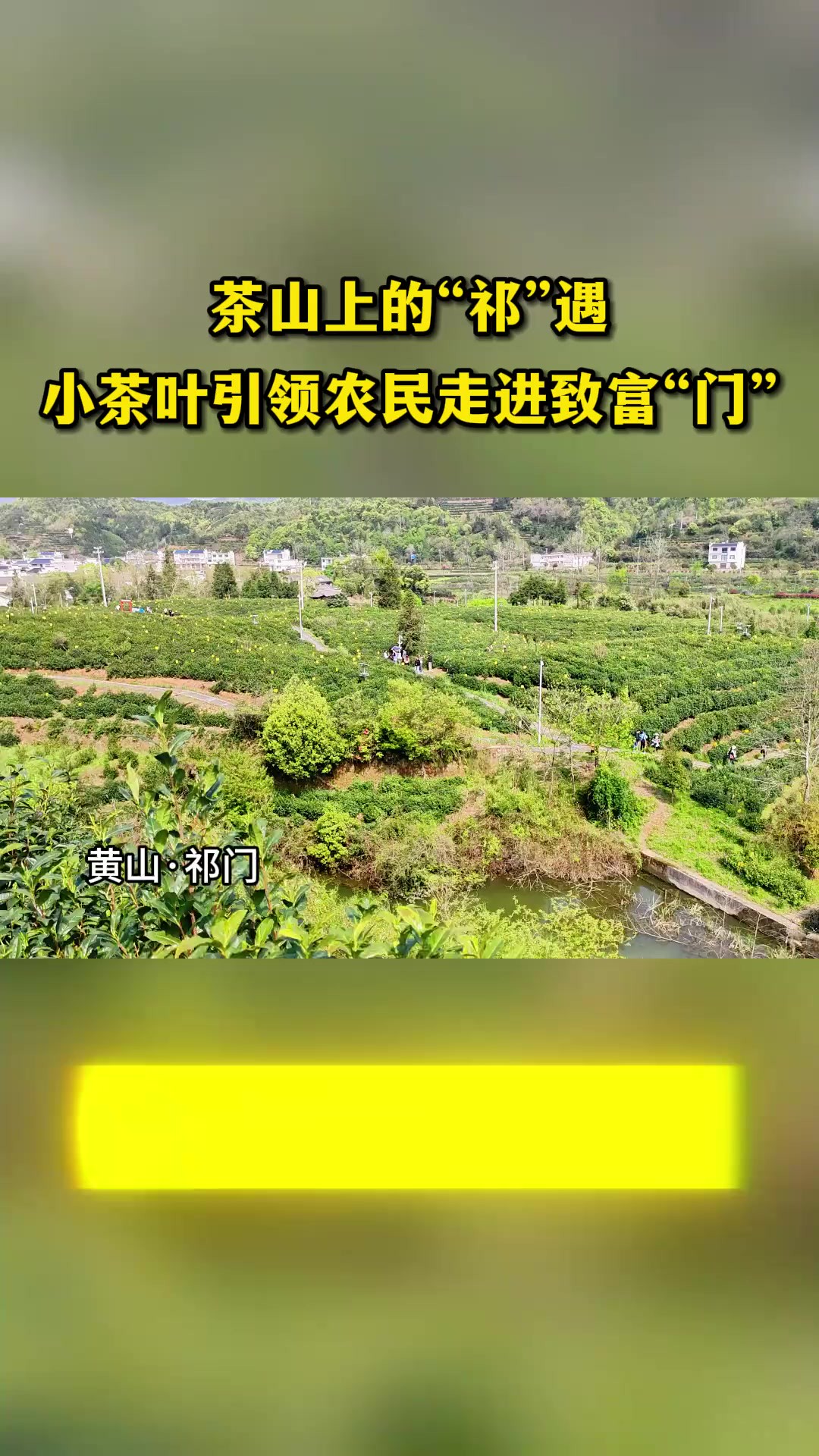 《茶山上的“祁”遇》 颍上融媒 王坤