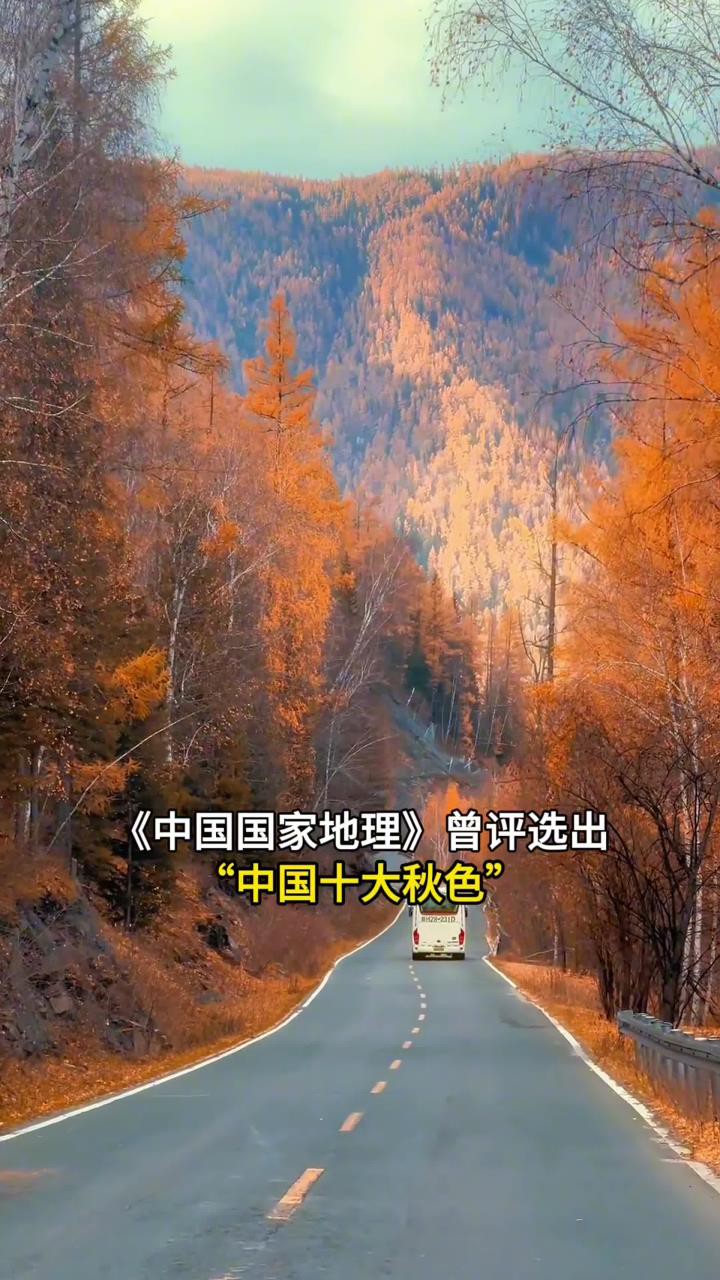 中国最美的十大秋景,你去过几个地方?中国国家地理评选,中国十大秋色,你觉得最美的秋色在哪里?中国最美秋景.#旅行大玩家#旅行推荐官#旅游攻略#...