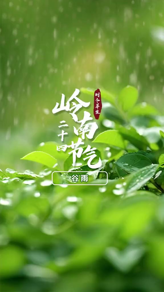 时令 ,清热祛湿“雨前茶”饮起来