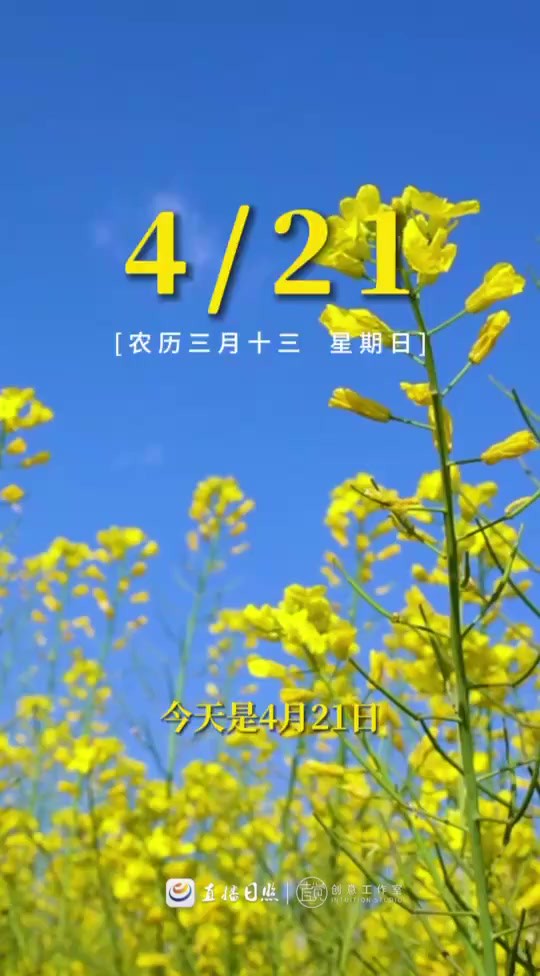 【早安】今天是4月21日,星期日,早安,生活是自己的,有什么样的能力,就过什么样的生活,别太为难自己,尽力而为,量力而行,用顺其自然的态度,...