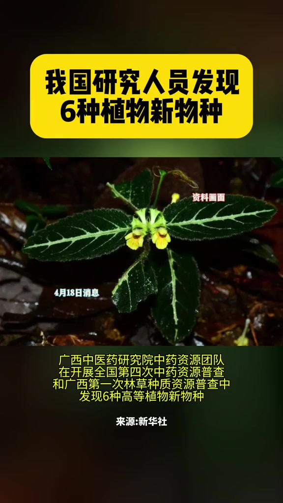 我国研究人员发现6种植物新物种 编辑许辰晨