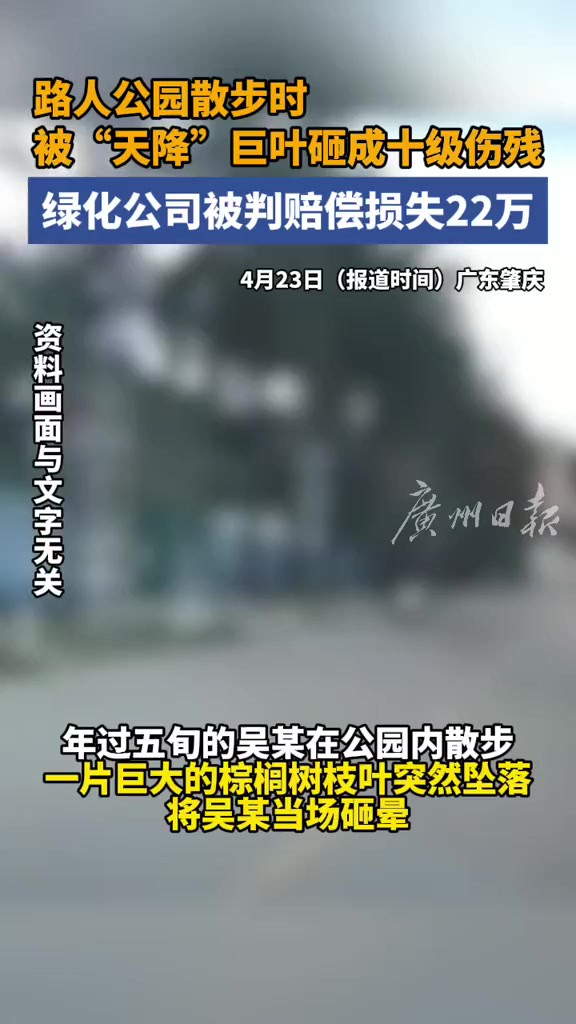 广东肇庆.一女子公园散步时突然被“天降”棕榈叶咋称十级伤残,绿化公司被判赔偿损失22万.