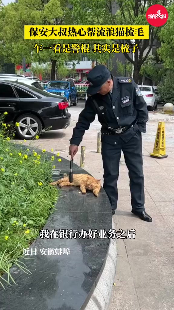 (自采原创)乍一看是警棍,其实是把梳子(素材来源)