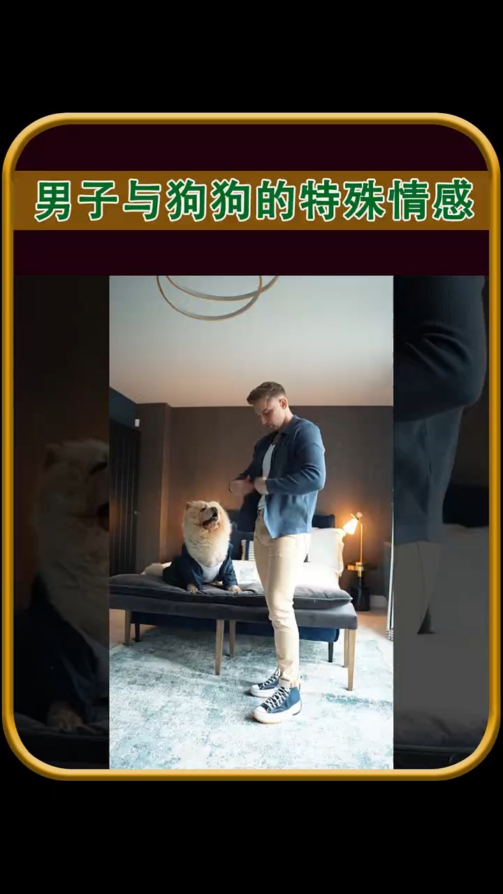 狗狗的幸福生活