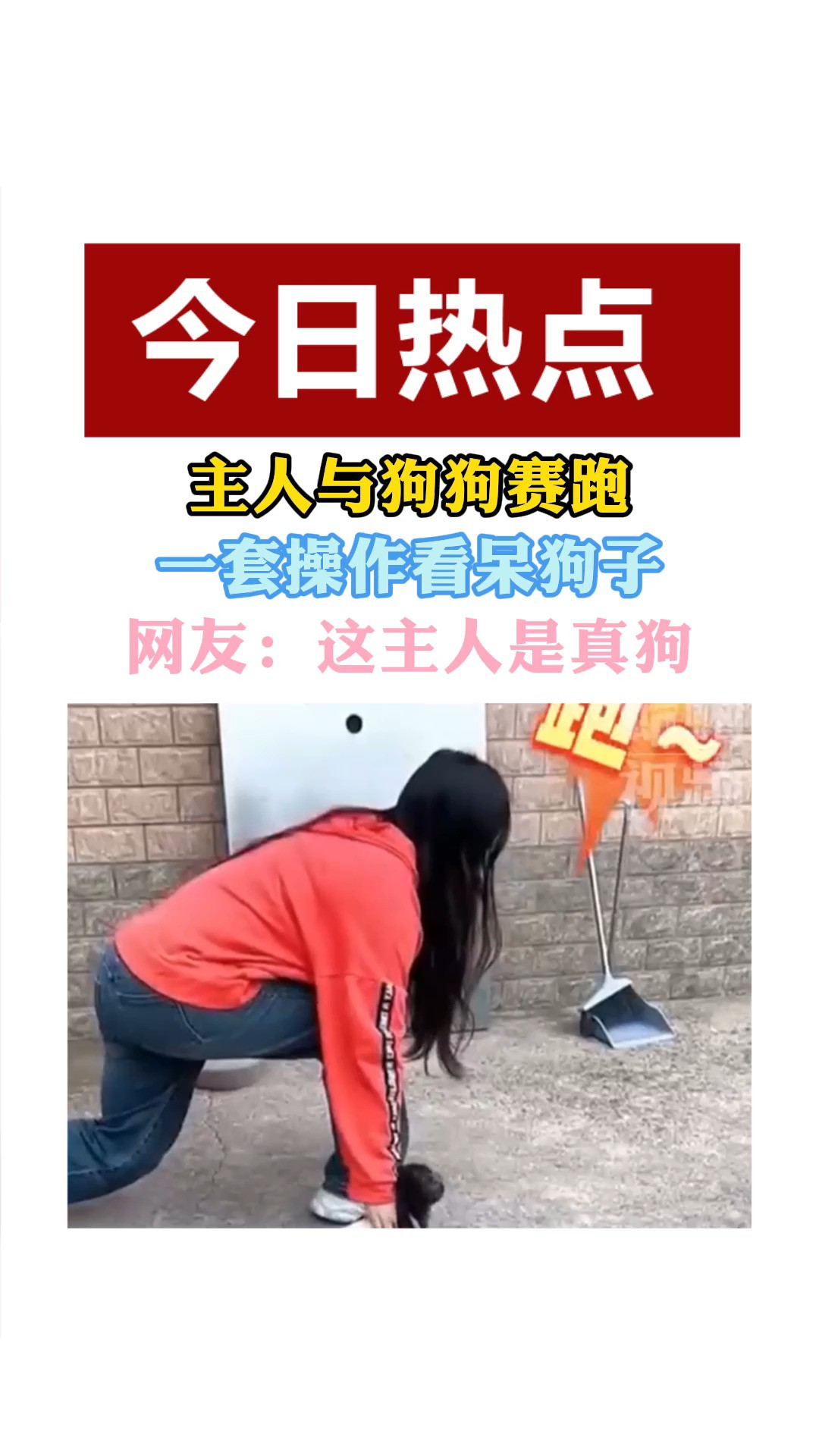 主人与狗狗赛跑