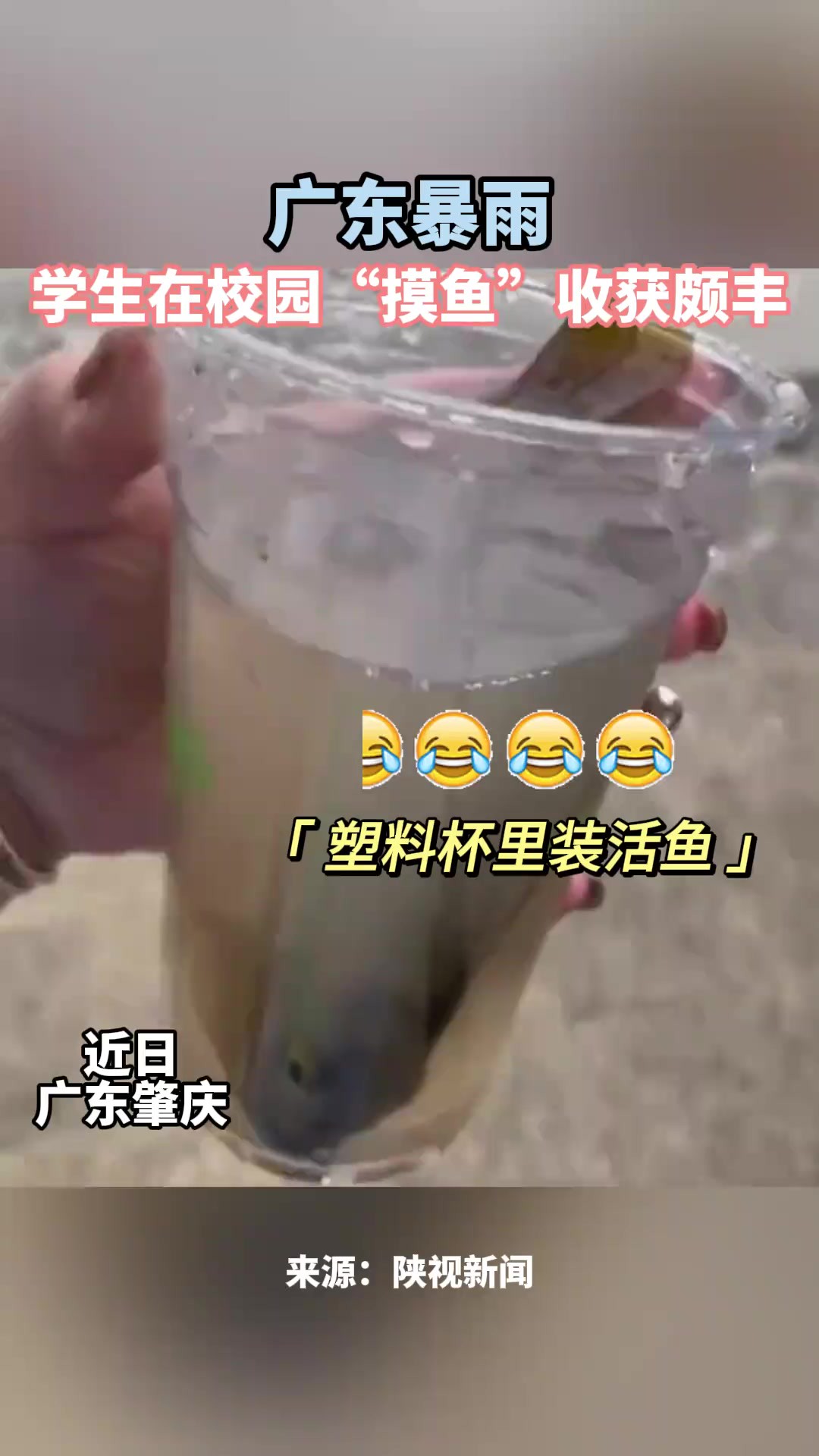 广东暴雨,学生在校园开启“摸鱼”模式 编辑王怡雯