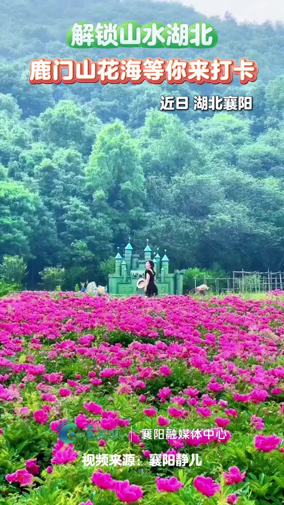 解锁山水湖北,鹿门山花海等你来打卡!视频来源: