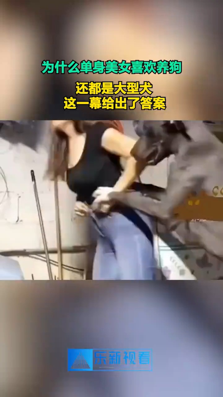 为什么单身美女喜欢养狗,还都是大型犬,这一幕给出了答案(1)