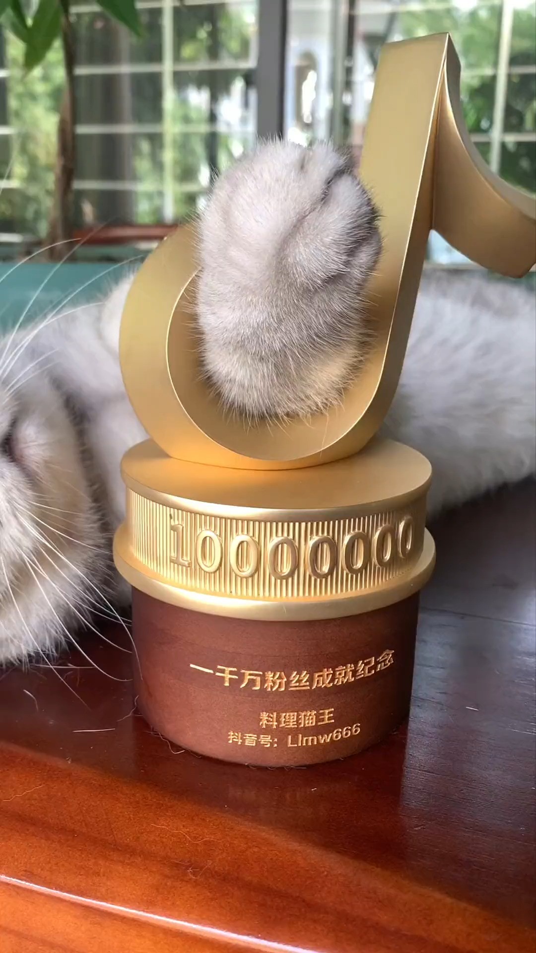 猫王:喜提千万粉丝,感谢大家的喜爱与支持!你是什么时候关注本喵的?em~喵