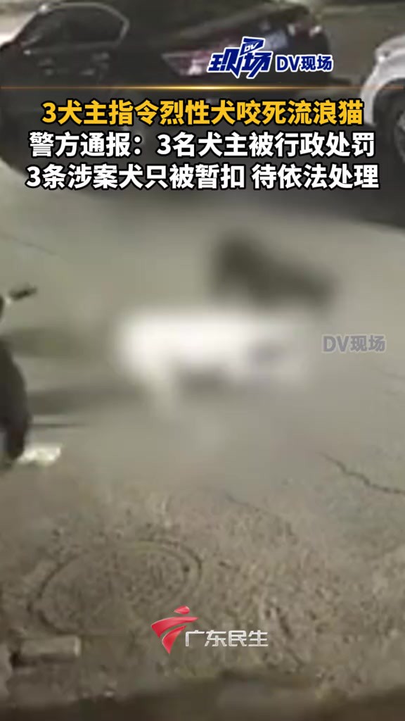 长春警方通报:3名犬主被行政处罚,3条涉案犬只被暂扣,待依法处理.