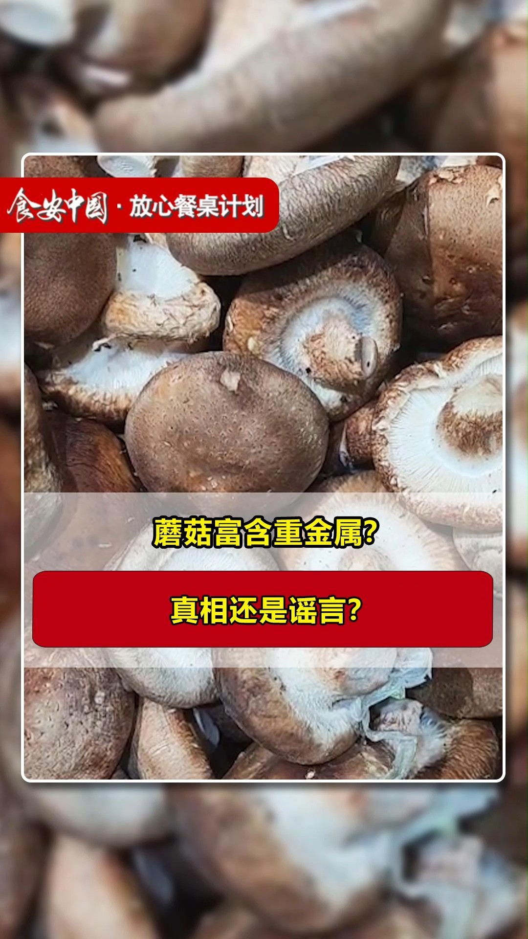 富含重金属?真相还是谣言?#食品安全问题 #科普 #蘑菇蘑菇 