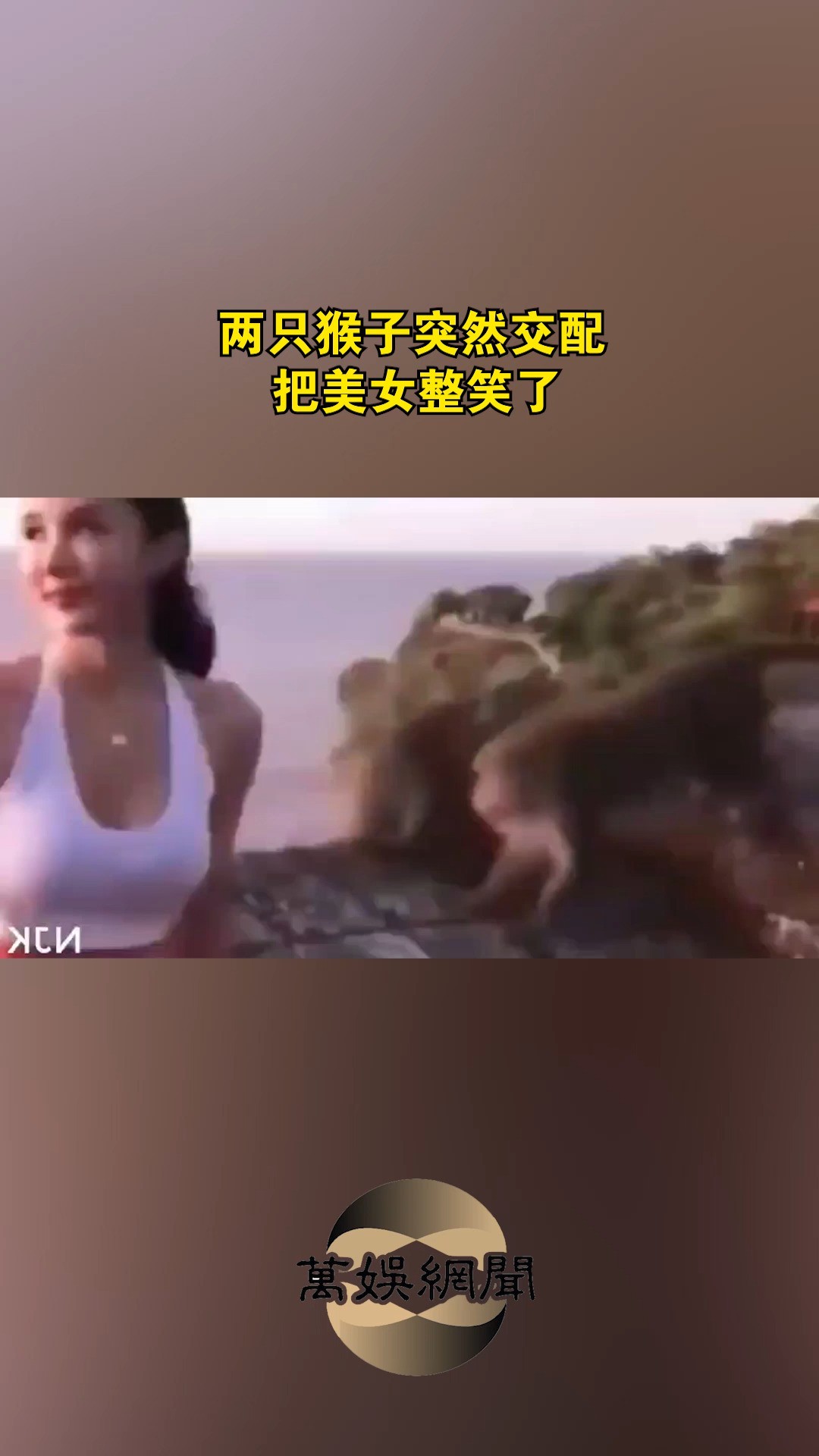 两只猴子突然交配 ,把美女整笑了