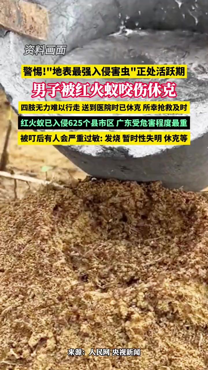 警惕!“地表最强入侵害虫”正处活跃期