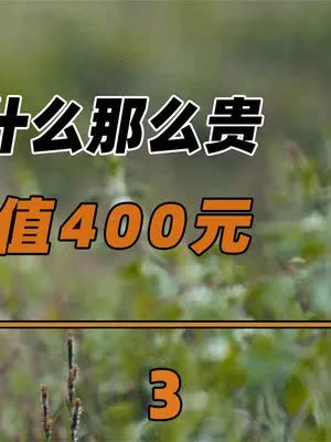 麝香一克400元,还供不应求,老百姓可以自己养麝取香吗?