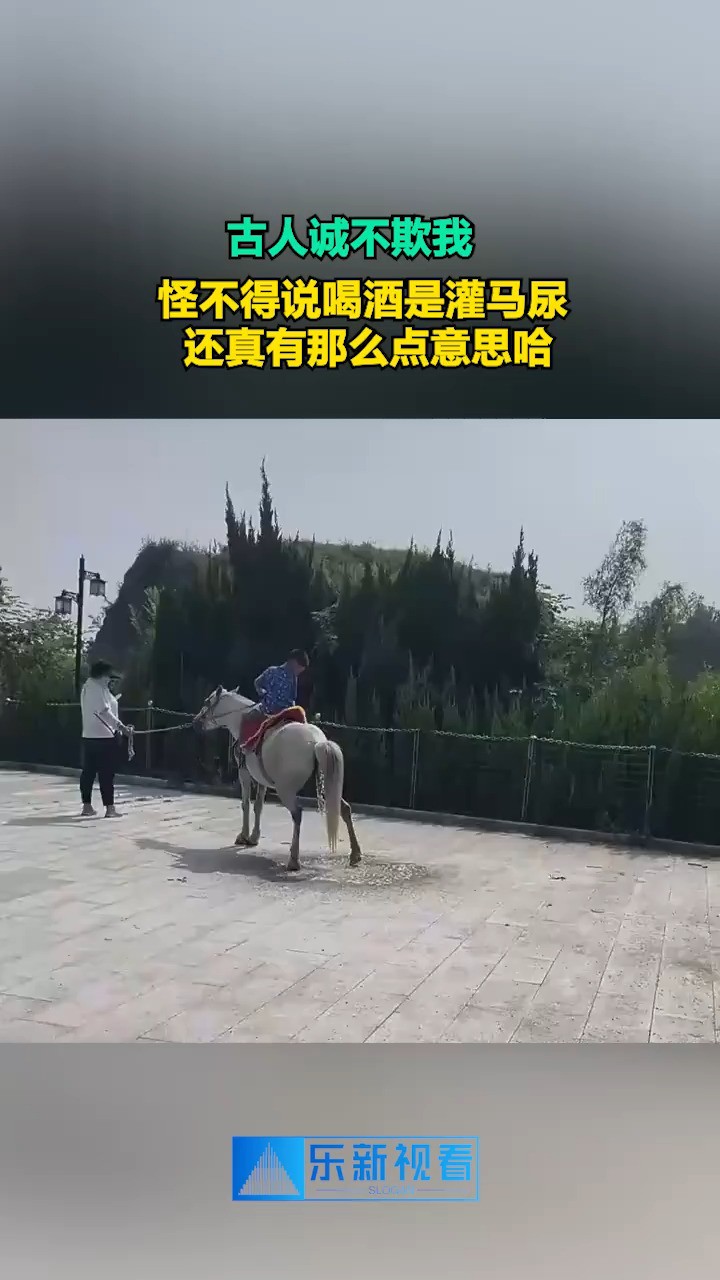 古人诚不欺我,怪不得说喝酒是灌马尿,还真有那么点意思哈