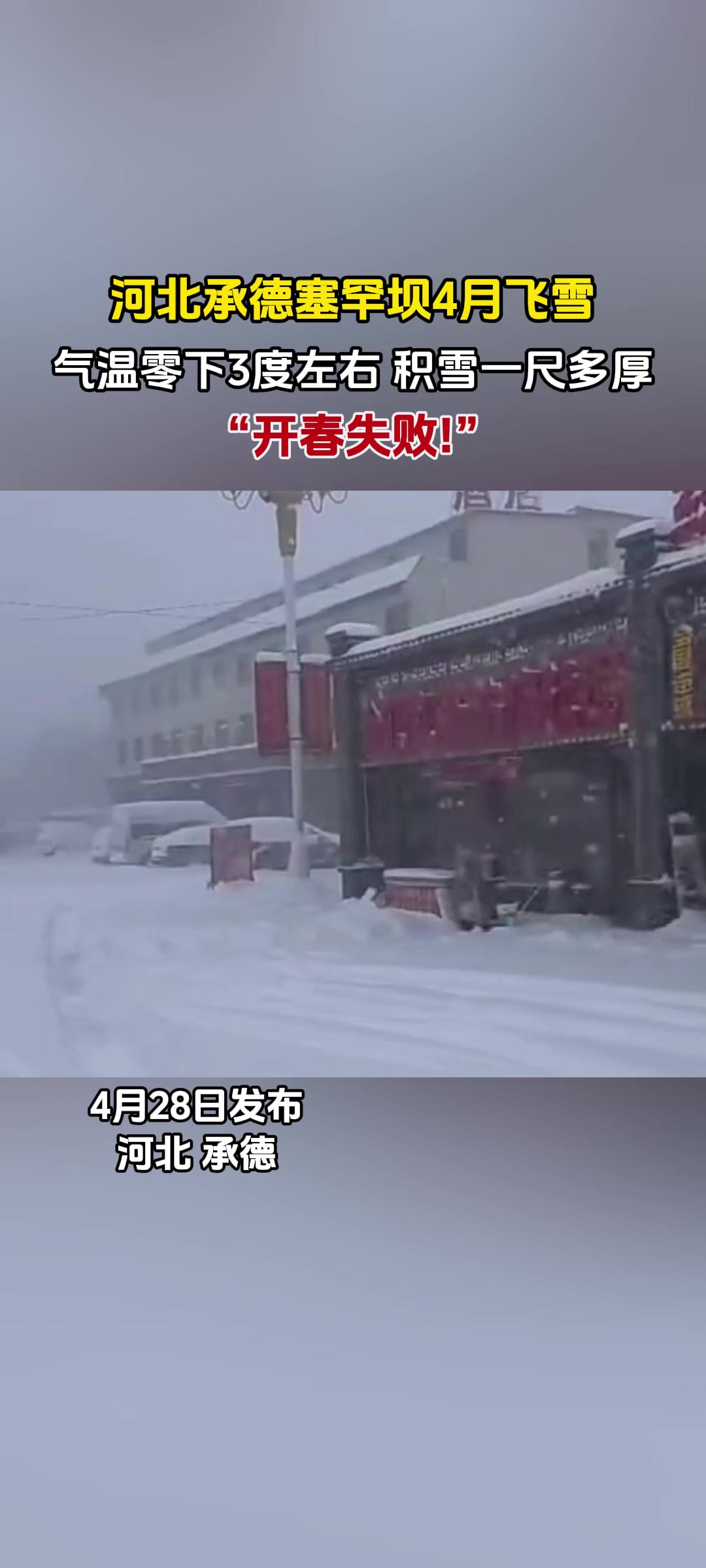 河北承德塞罕坝4月飞雪,气温零下度左右,积雪一尺多厚,“开春失败!”