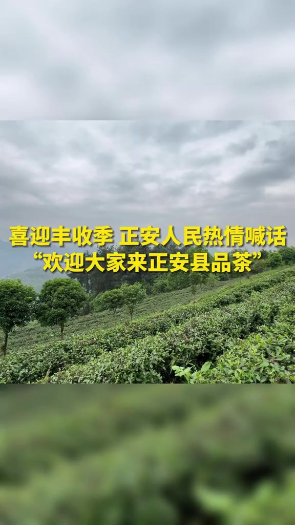 喜迎丰收季 正安人民热情喊话“欢迎大家来正安县品茶”(来源:天眼新闻记者:岑月 刘方鑫 制作:岑月 编辑:张睿 二审:尹广亚)