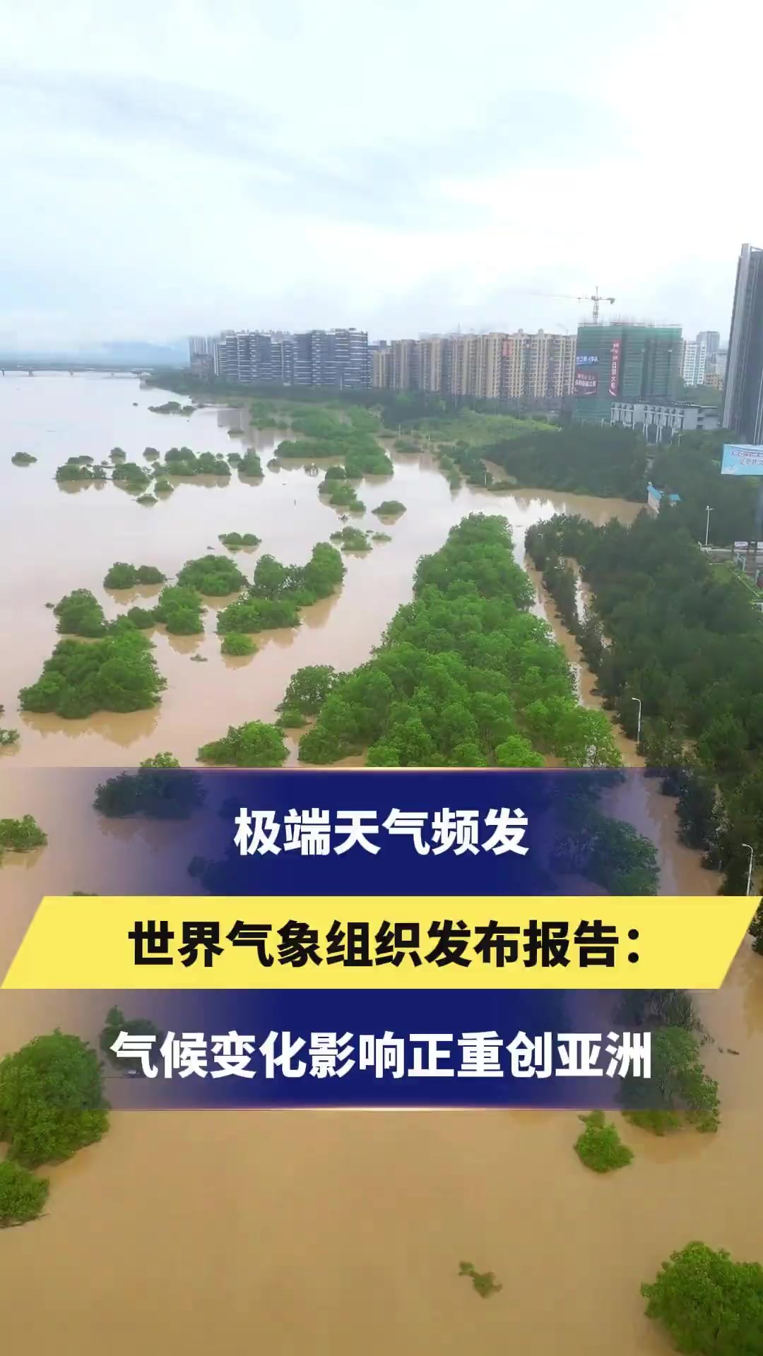 极端天气频发,世界气象组织发布报告:气候变化影响正重创亚洲