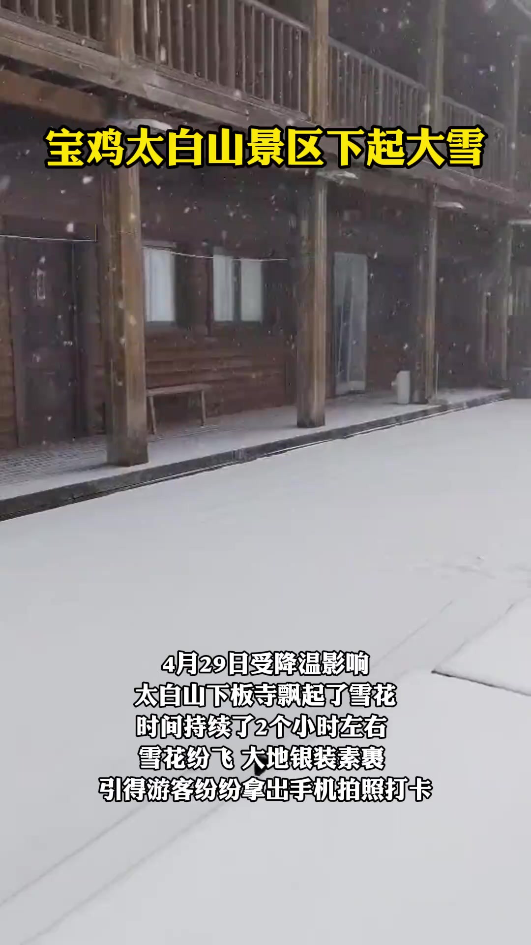 宝鸡太白山景区下起大雪(来源:宝鸡太白山景区 通讯员:张宝军 拍摄:王元武)