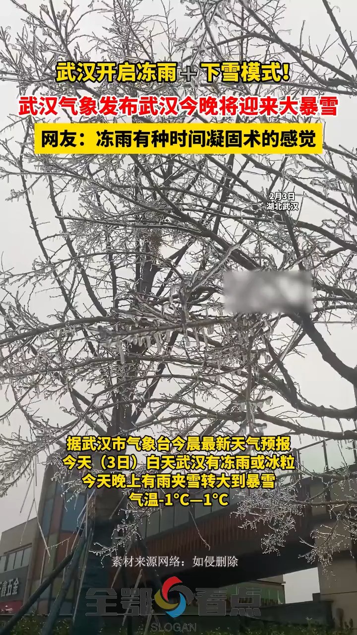 武汉下雪了!武汉气象发布武汉今晚将迎来暴雪