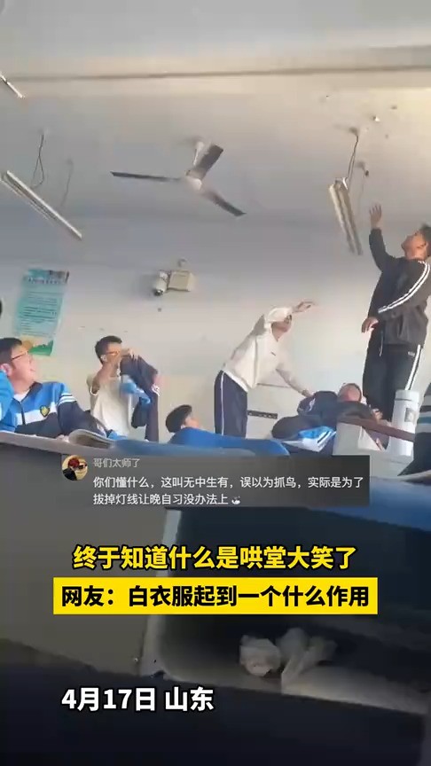 终于知道什么是哄堂大笑了,网友:白衣服起到一个什么