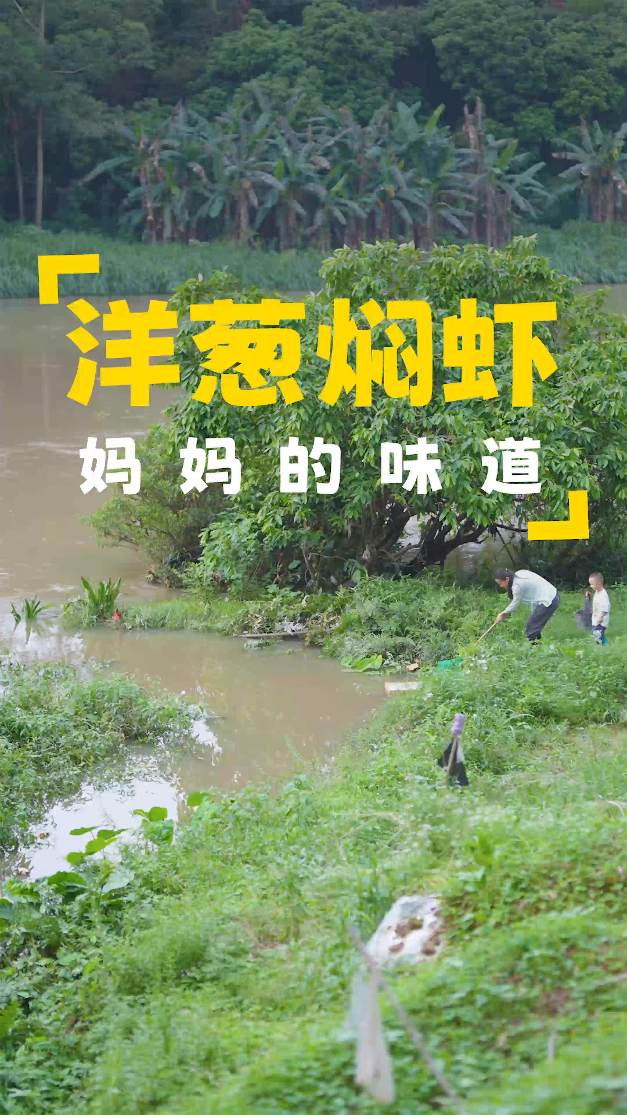 到小溪边捞点小鱼小虾回去,放在荷花缸里养,晚上做道洋葱焖大虾