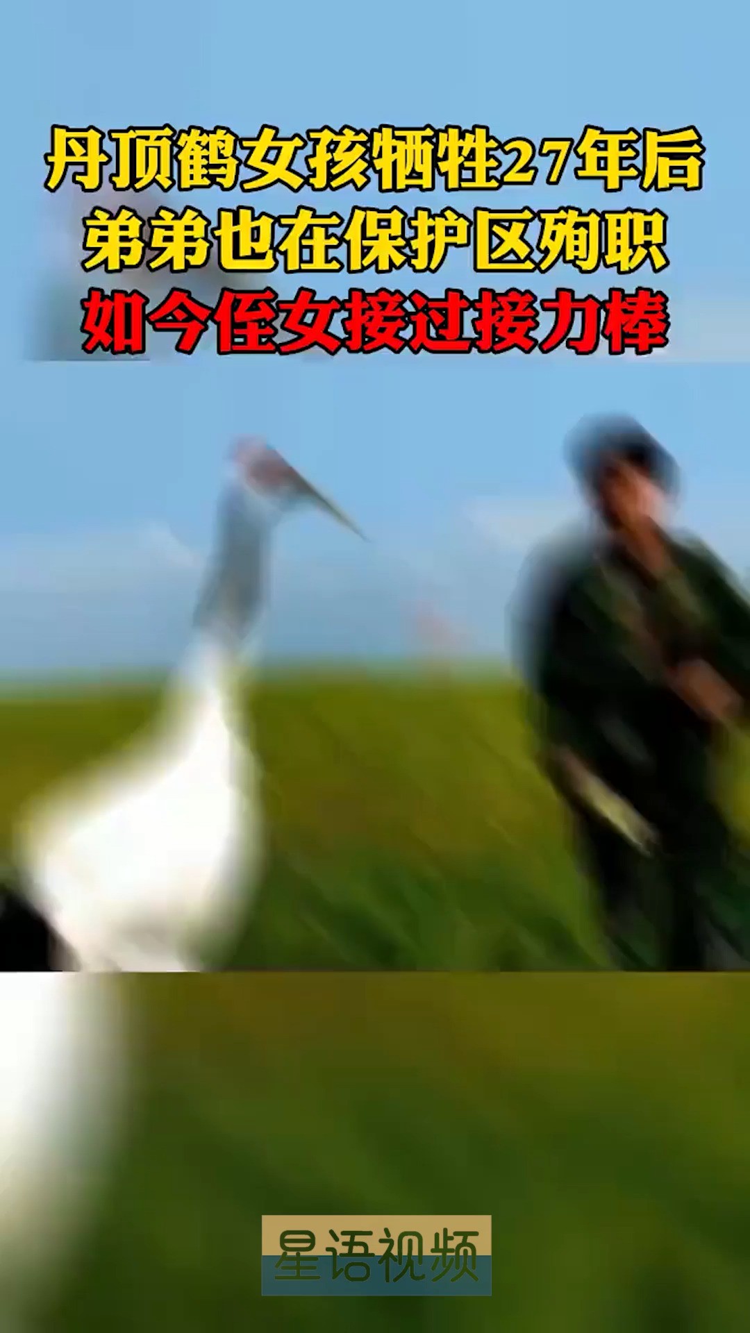 为什么会牺牲?