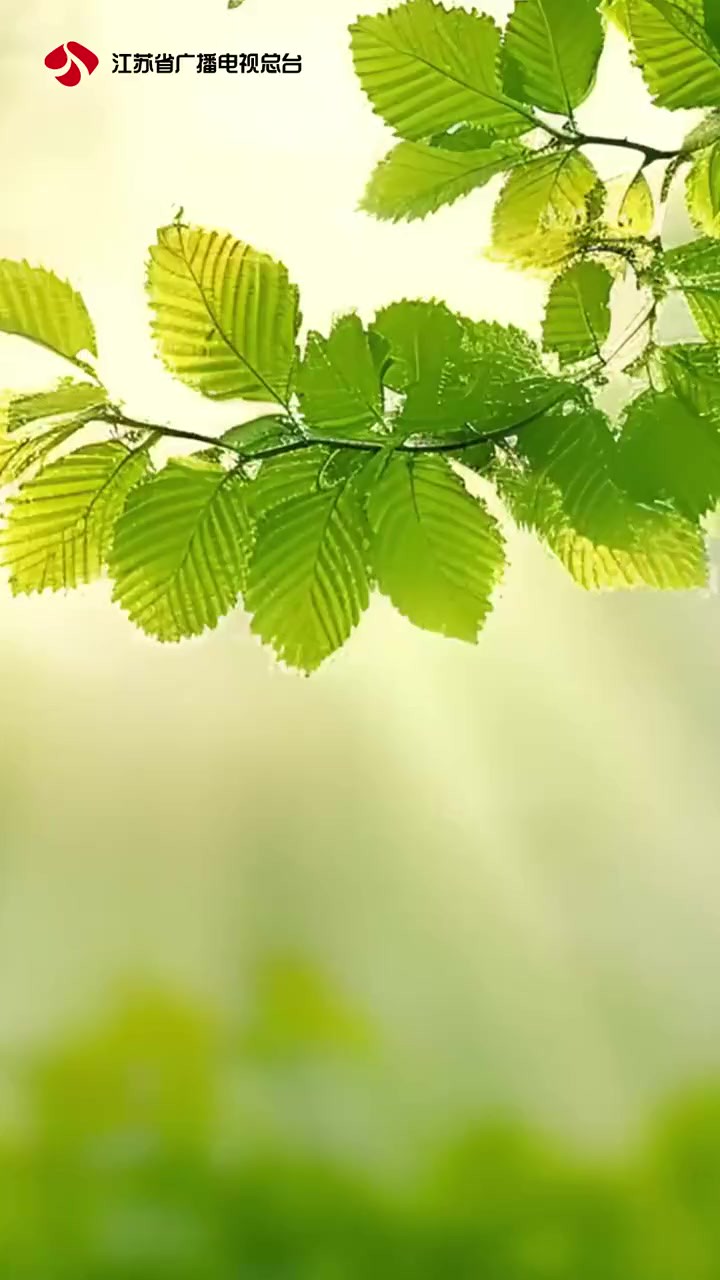 今日立夏|春意阑珊 立夏款款