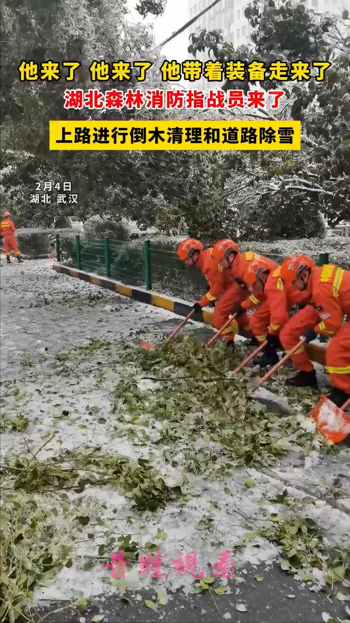 湖北森林消防指战员来了,上路进行倒木清理和道路除雪.