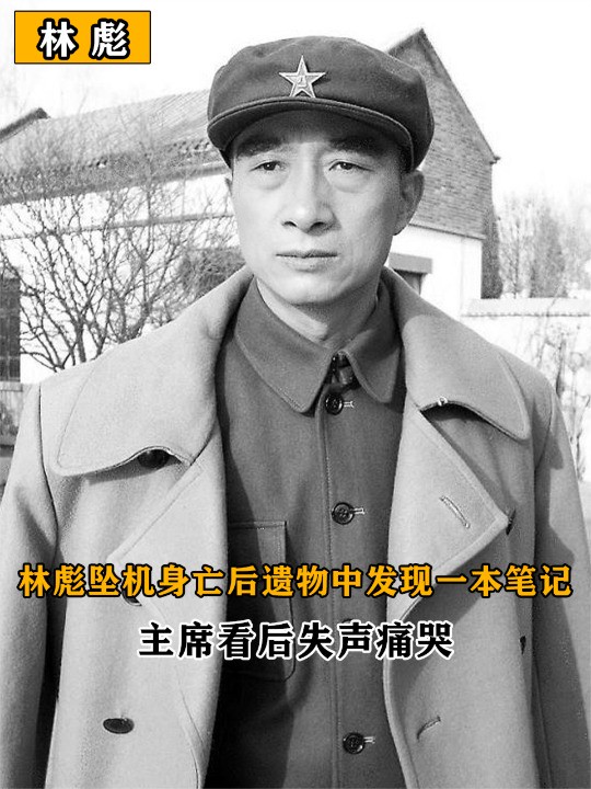 1971年林彪坠机身亡,遗物中发现一本笔记,主席看后失声痛哭(下)