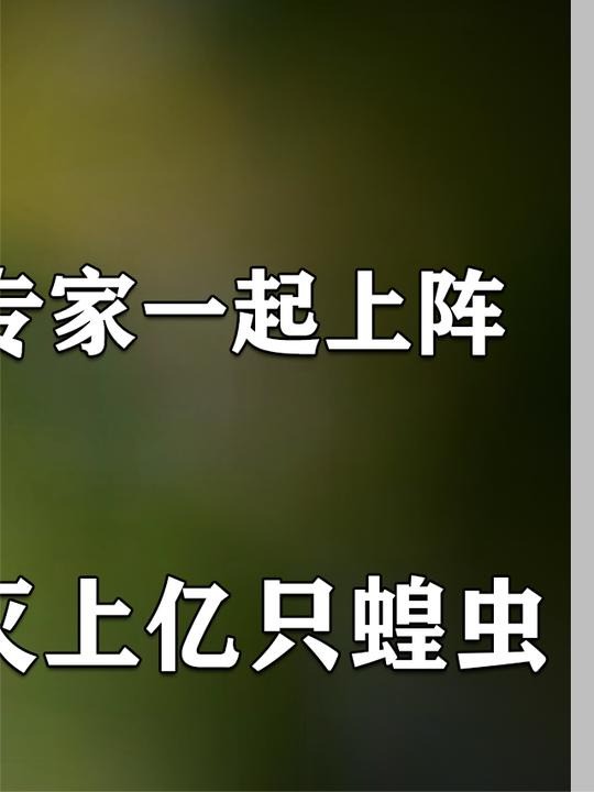 新疆展开灭蝗大战,利用鸡利用鸭,连天上的粉红椋鸟都派上用场!(下)