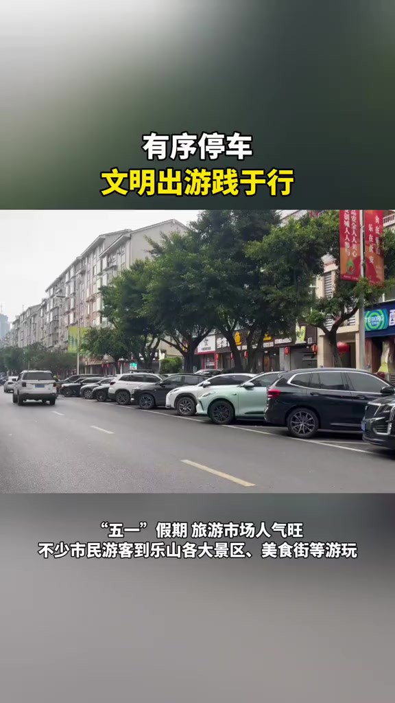 有序停车,文明出游践于行