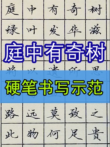 硬笔楷书作品书写示范“庭中有奇树”