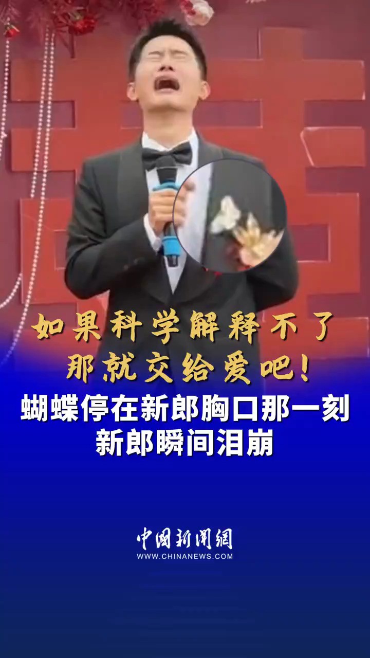 如果科学解释不了,那就交给爱吧!蝴蝶停在新郎胸口那一刻 新郎瞬间泪崩