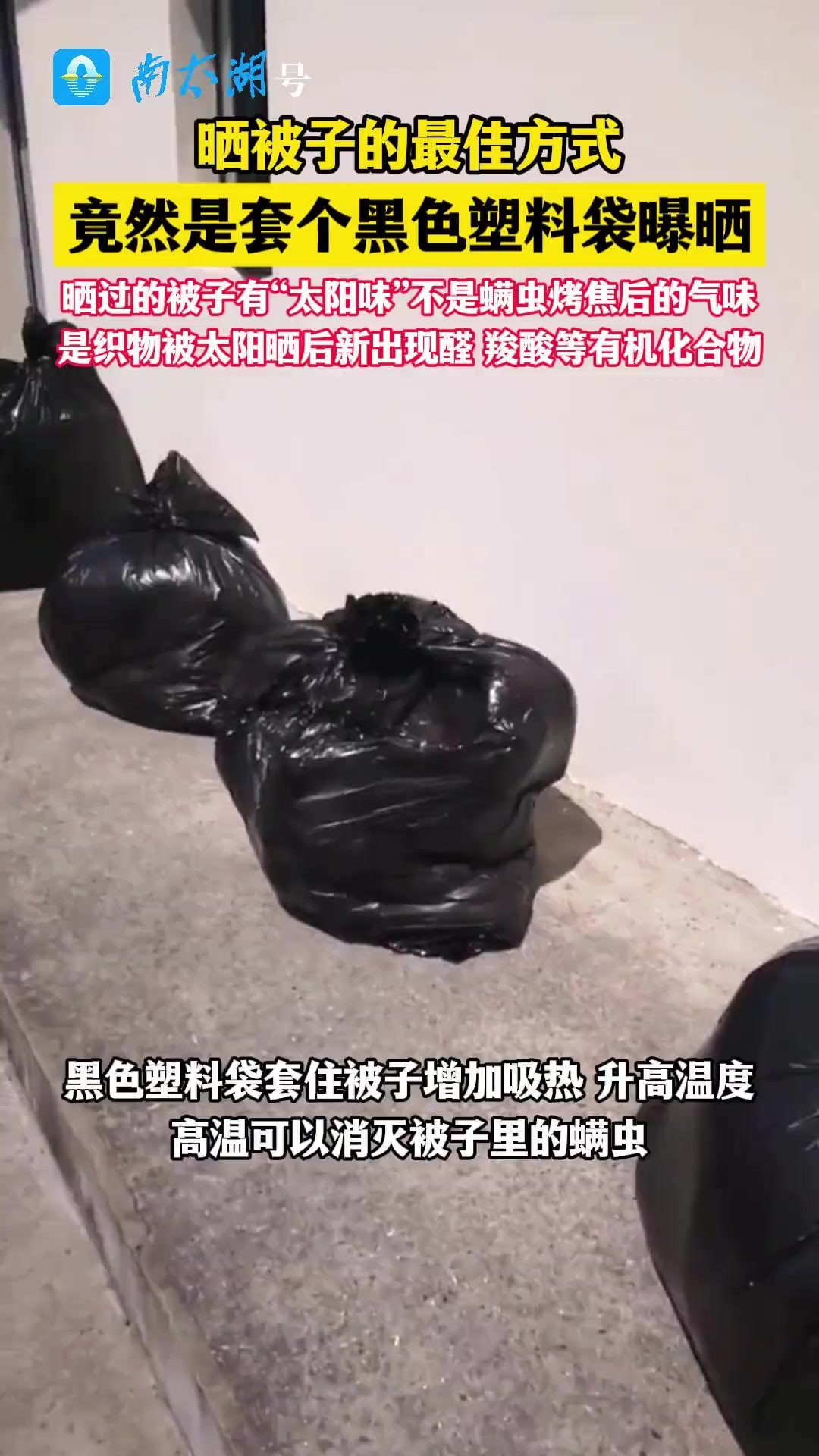 被子套个黑色塑料袋曝晒,晒过的被子有“太阳味”不是螨虫烤焦后的气味,是织物被太阳晒后新出现醛 羧酸等有机化合物(制作:小志)