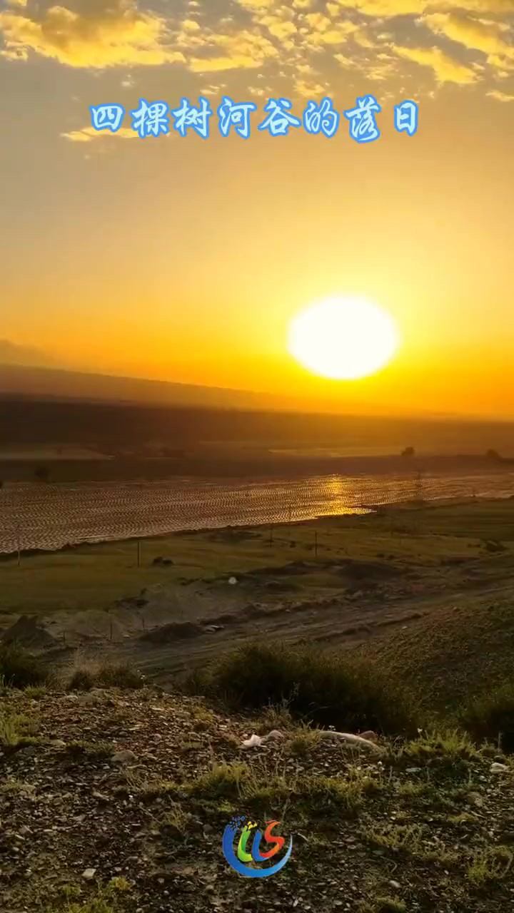 四棵树河谷的落日